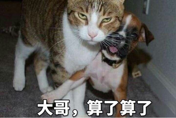 大哥，算了算了