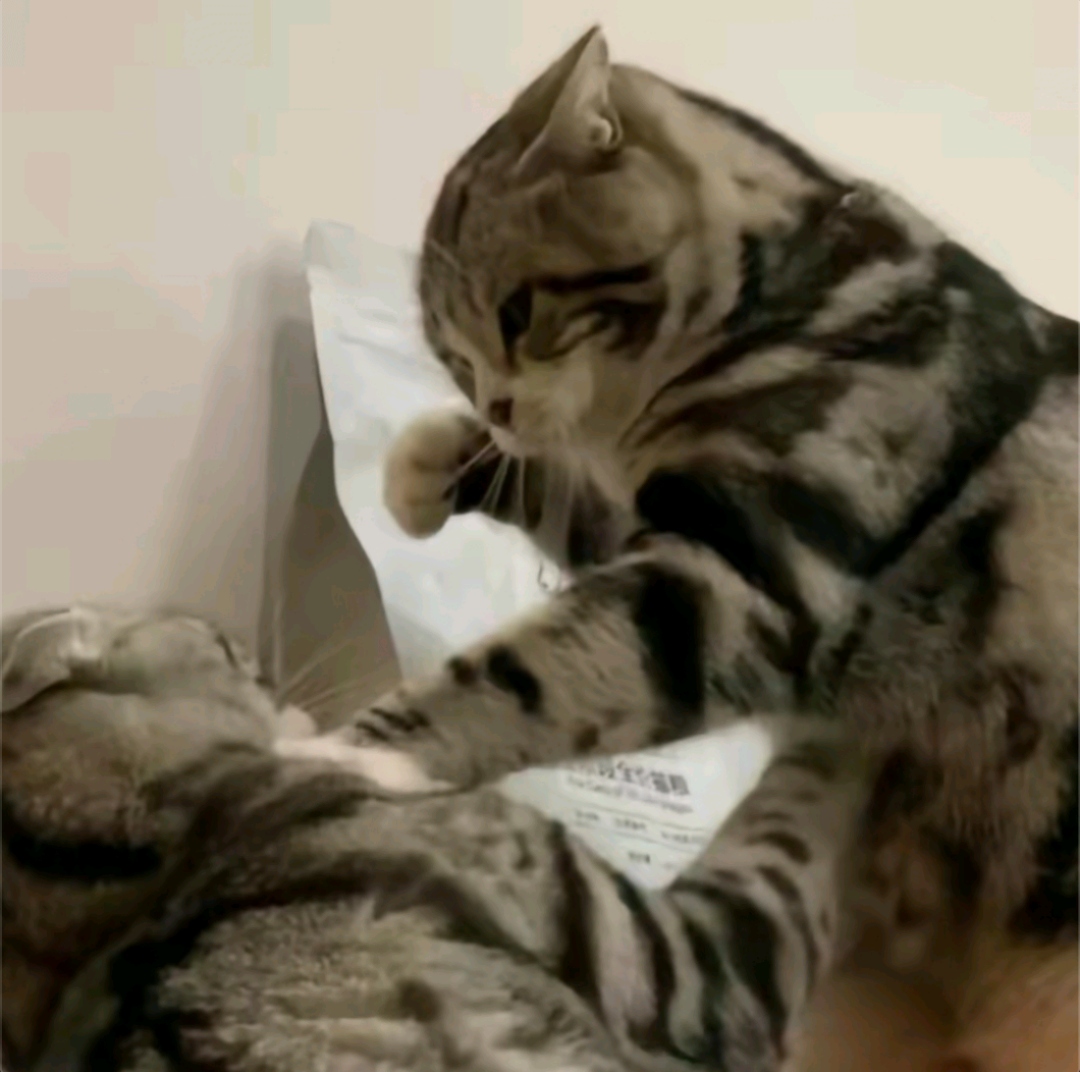 打死你