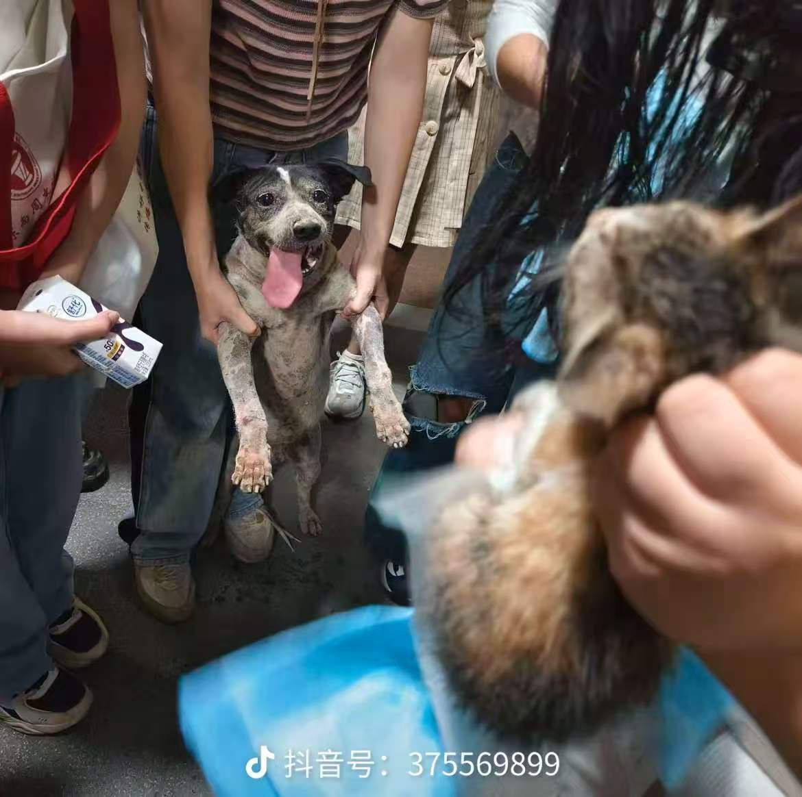 拯救
