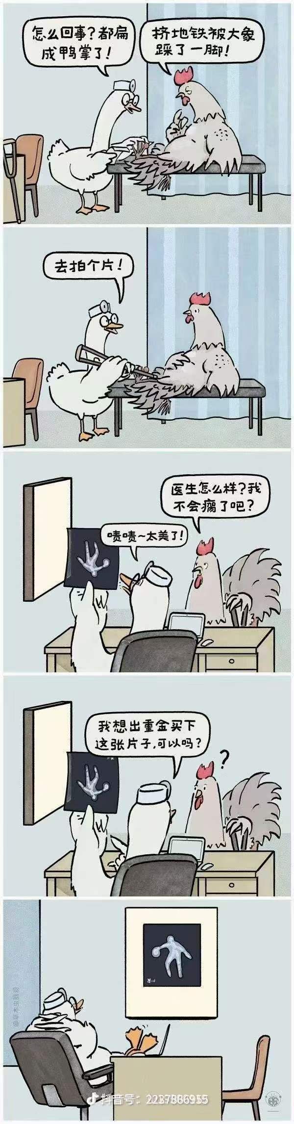 露出鸡脚