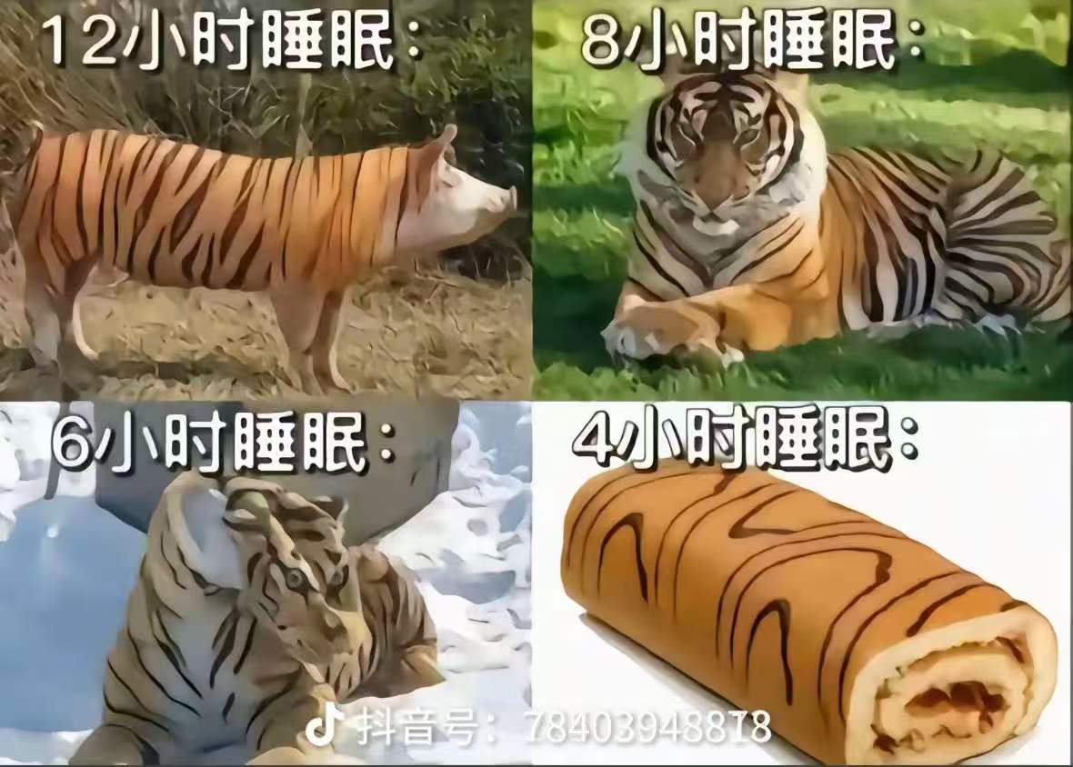 睡眠