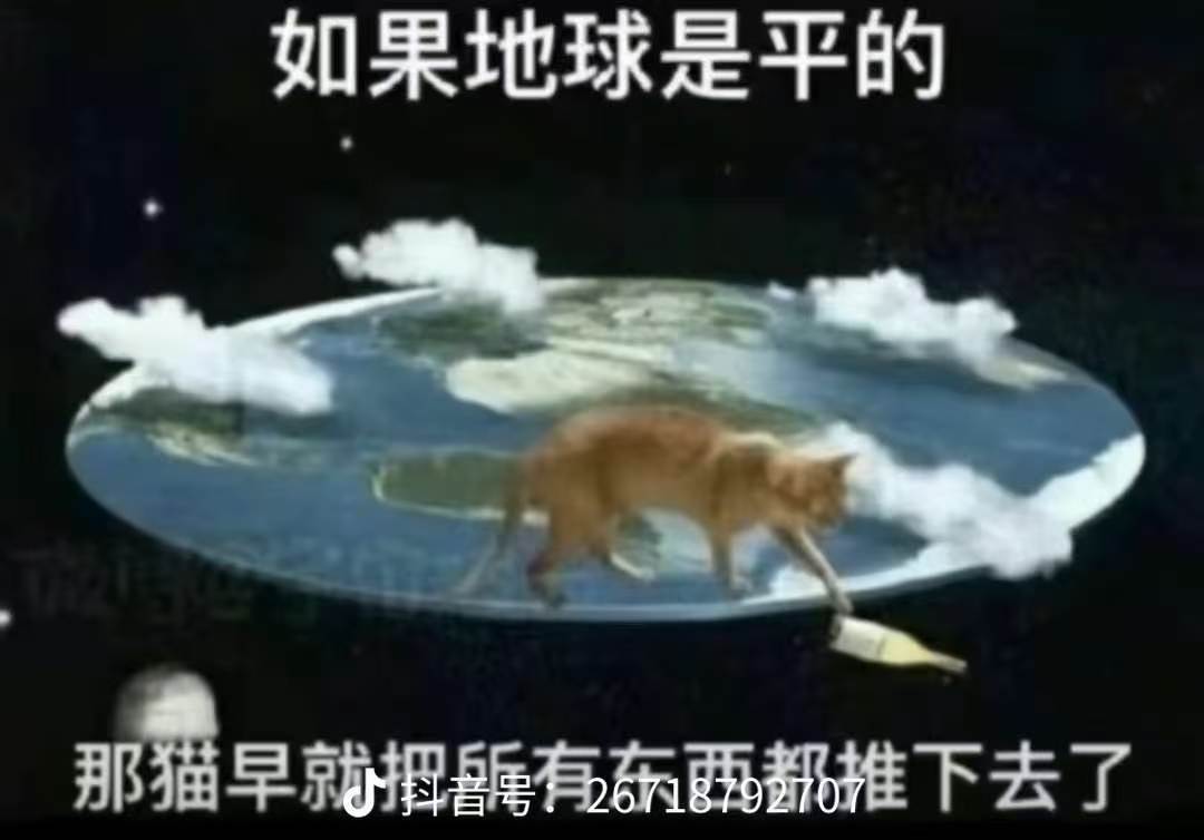 小猫