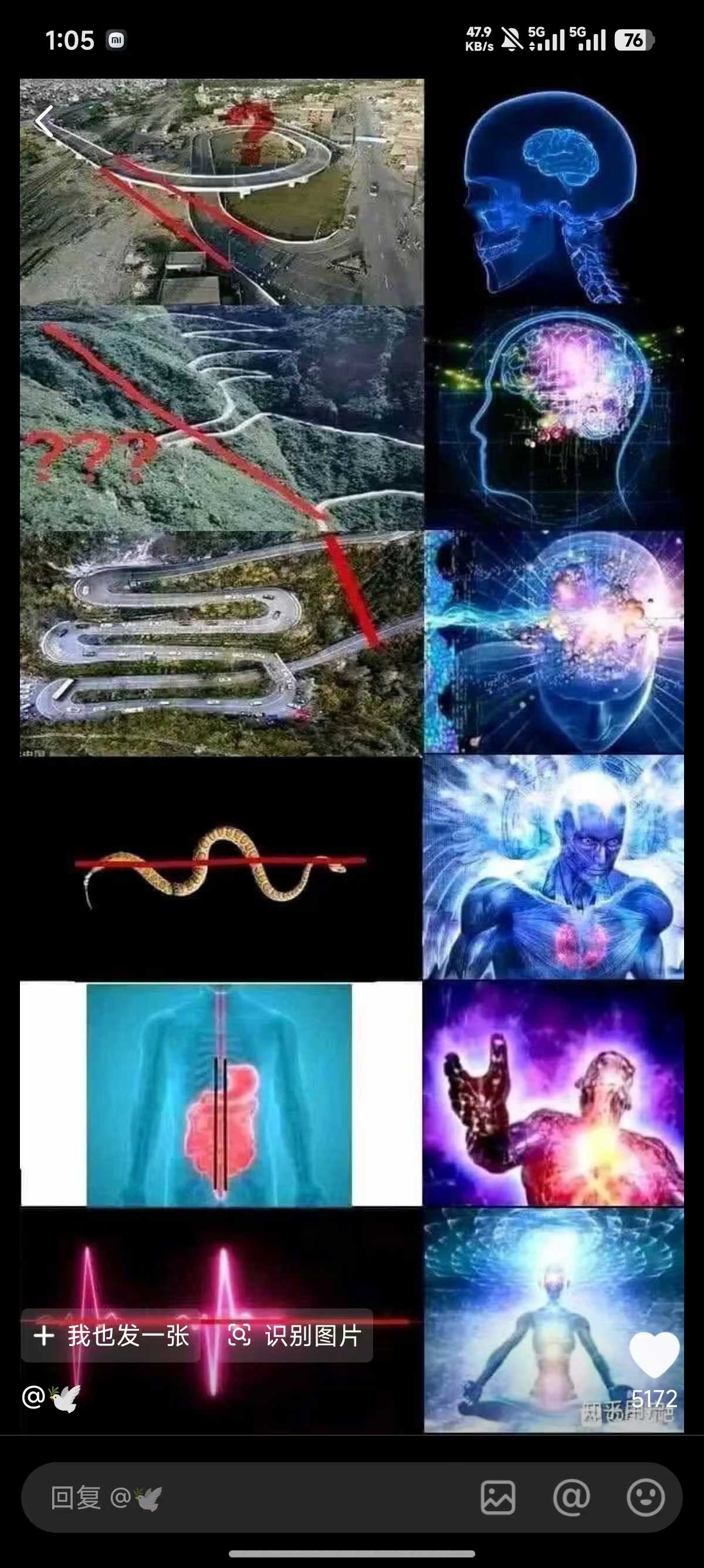 大脑